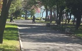 Апартамент Лазур